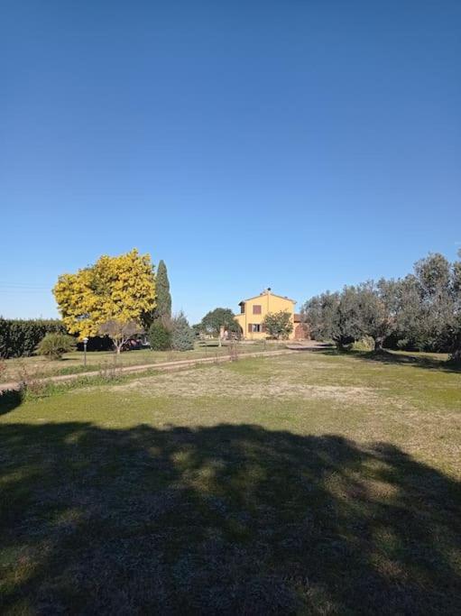 La Casina Di Campagna Tra Cecina E Bibbona Villa Exterior foto