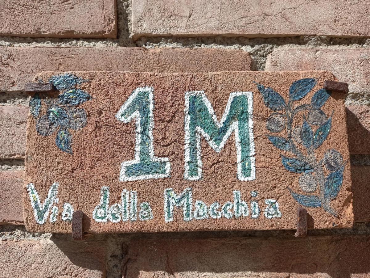 La Casina Di Campagna Tra Cecina E Bibbona Villa Exterior foto