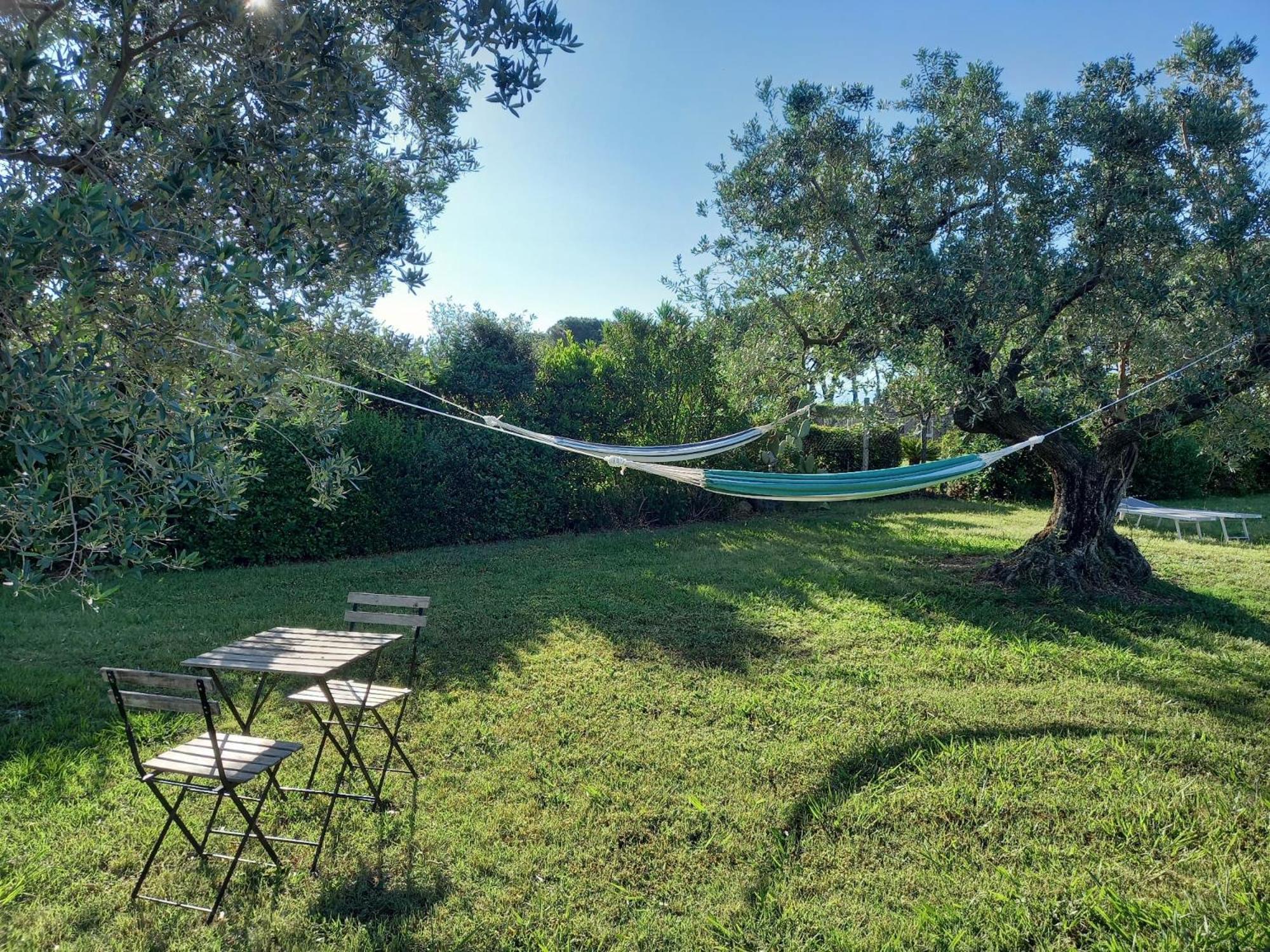La Casina Di Campagna Tra Cecina E Bibbona Villa Exterior foto