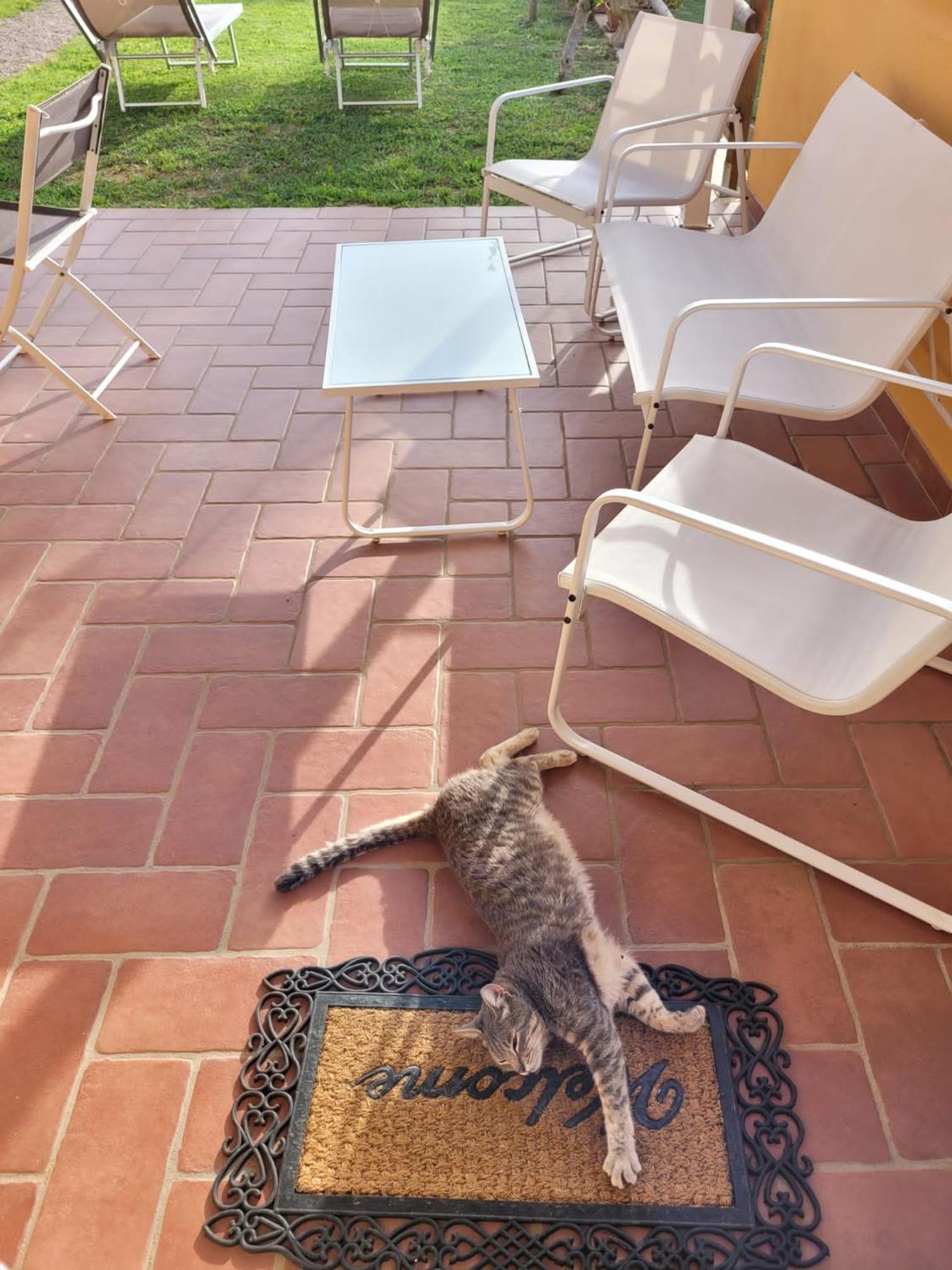 La Casina Di Campagna Tra Cecina E Bibbona Villa Exterior foto